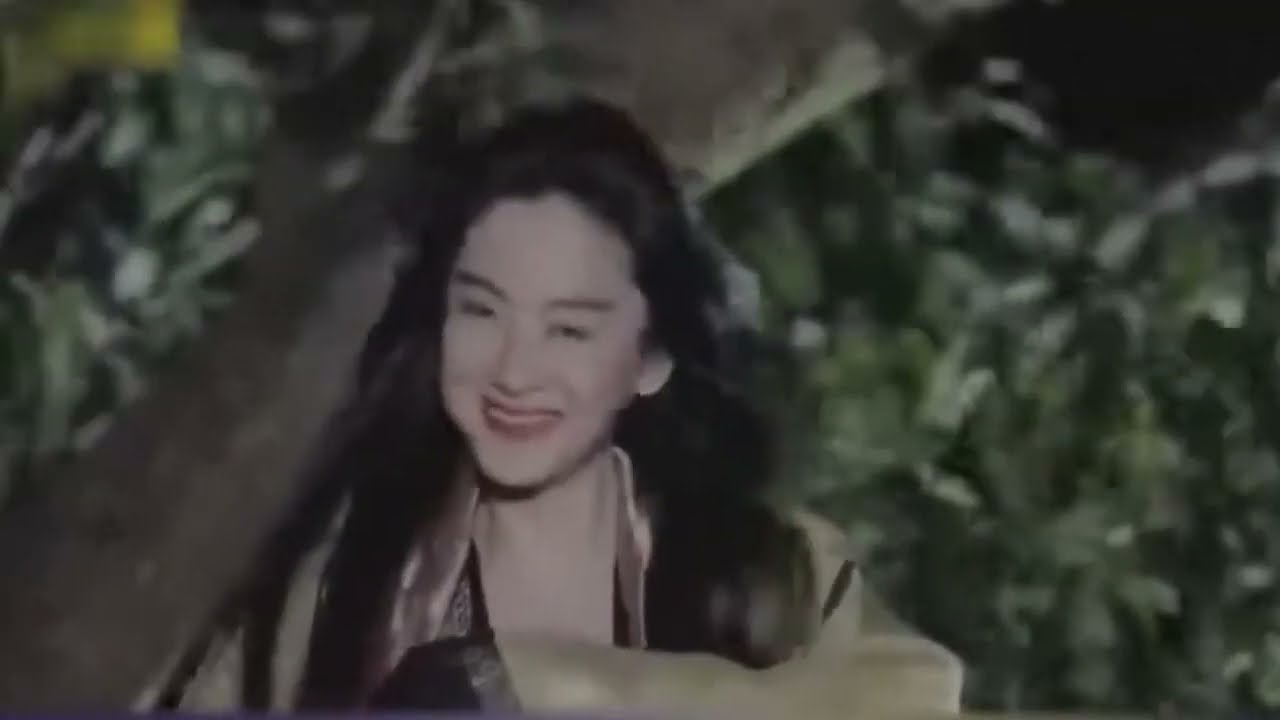 រឿងចិននិយាយខ្មែរ, (លីតាវហួ) 2024 | chinese movies speak khmer Full HD